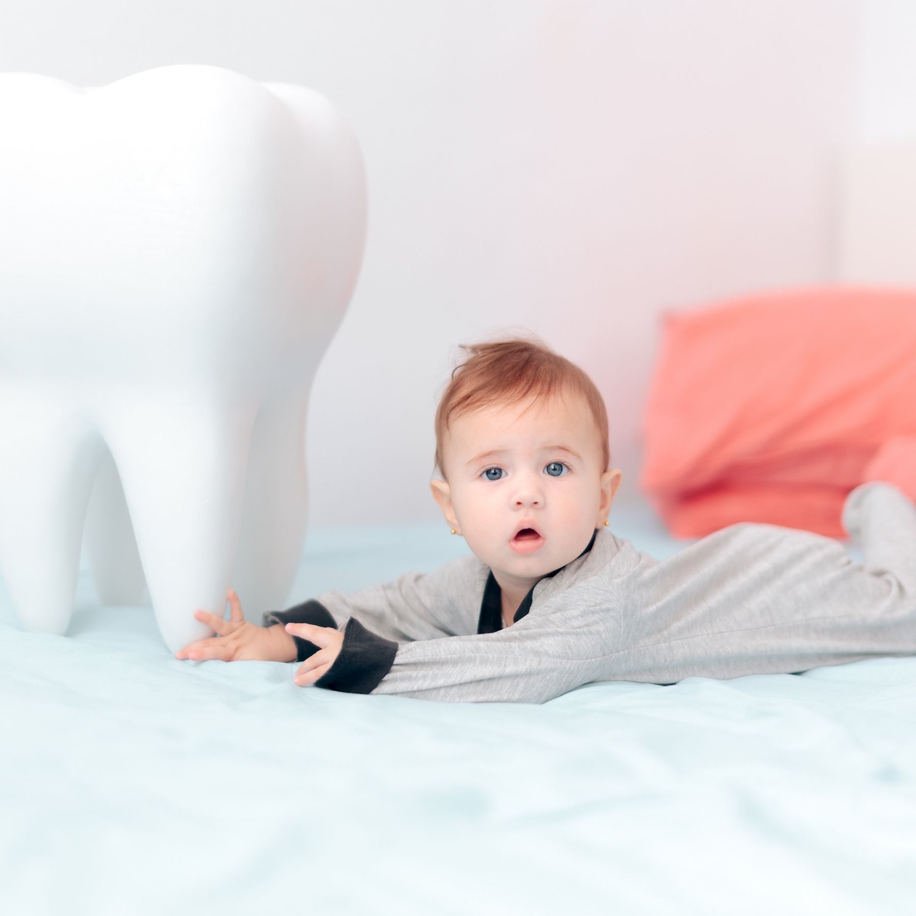 Les Poussees Dentaires Du Bebe Nannecy Hovine