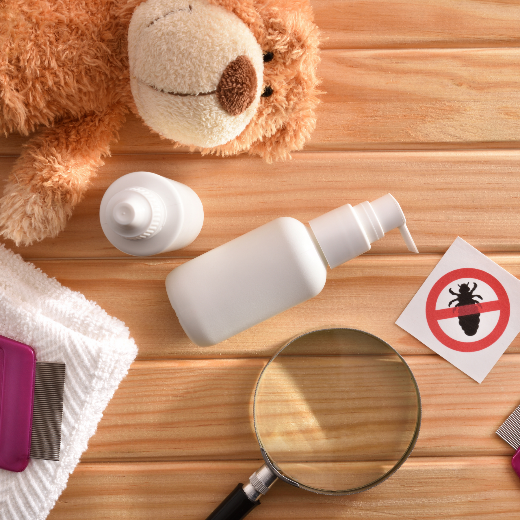 Les Poux Ou L'enfer Des Parents - Nannecy Hovine